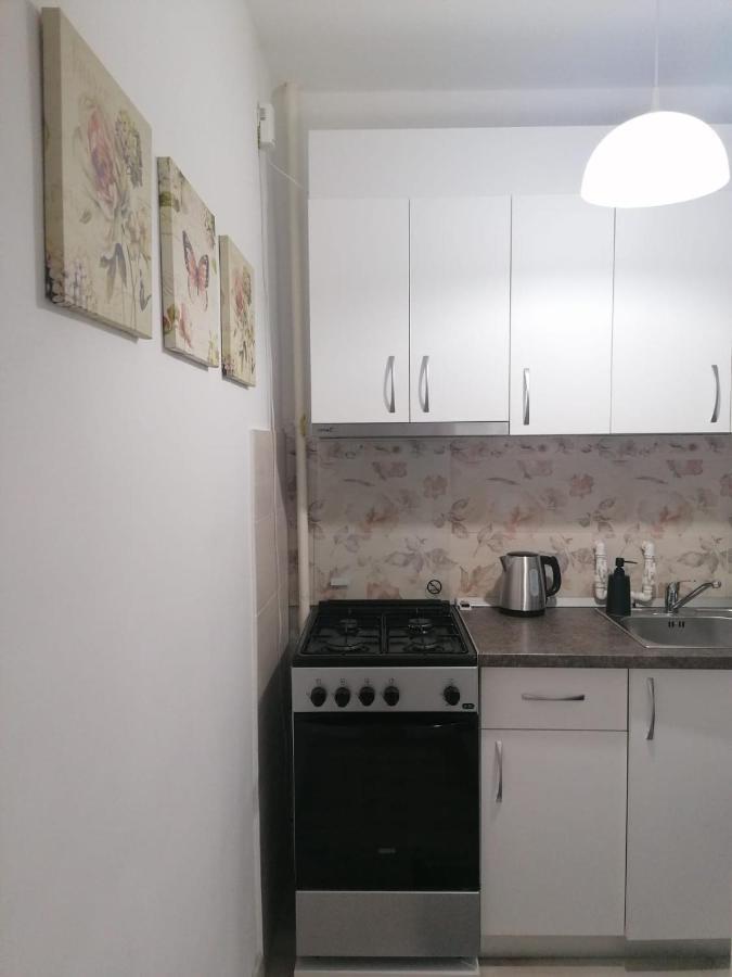 Laroka House Cosy And Modern Apartment Universitate-City Centre Bucareste Exterior foto